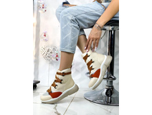 ������������ �������