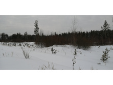 IMG 20210228 115543.jpg