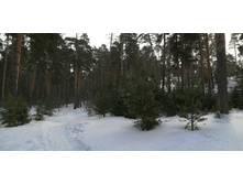 IMG 20210306 113212.jpg