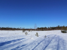 IMG 20210328 084011.jpg