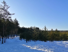 IMG 20210328 074303.jpg