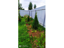 IMG 20200830 130019.jpg