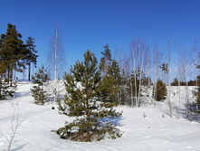 IMG 20210327 090135.jpg