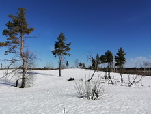 IMG 20210328 092002.jpg