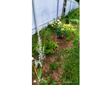 IMG 20200830 130014.jpg