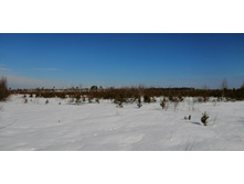 IMG 20210321 100155.jpg