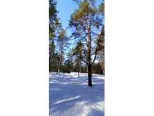 IMG 20210327 091340.jpg