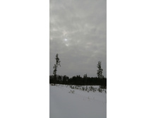 IMG 20210228 120015.jpg