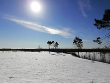 IMG 20210328 091356.jpg