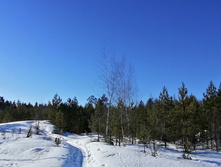 IMG 20210328 081802.jpg