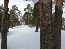 IMG 20210306 111954.jpg