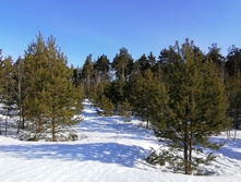 IMG 20210327 090145.jpg