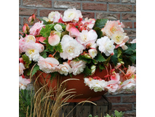 32 ������� ������� ��������.jpg