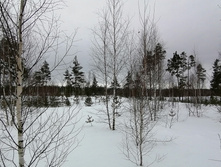 IMG 20210320 112419.jpg