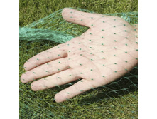 ����� �� ����  6 .jpg