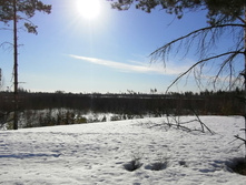 IMG 20210328 084948.jpg