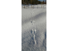 IMG 20210308 100241.jpg