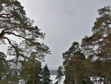 IMG 20210306 111050.jpg