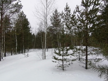 IMG 20210320 110347.jpg