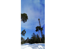 IMG 20210306 105252.jpg