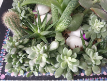 �������� �������� ��� �������