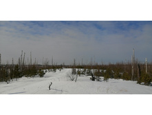 IMG 20210321 101641.jpg