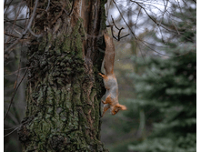 ��� ��� ��� �����?