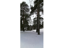 IMG 20210306 110840.jpg