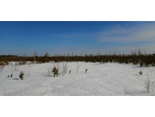 IMG 20210321 100158.jpg