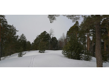 IMG 20210306 111213.jpg