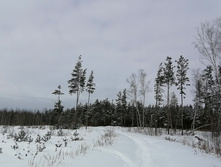 IMG 20210228 120051.jpg