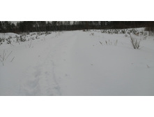 IMG 20210228 115558.jpg