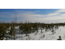 IMG 20210321 100425.jpg