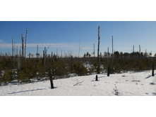 IMG 20210328 093317.jpg