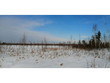 IMG 20210321 094210.jpg