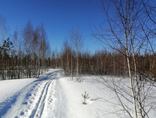 IMG 20210328 084313.jpg