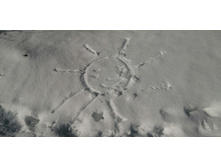 IMG 20210321 103443.jpg