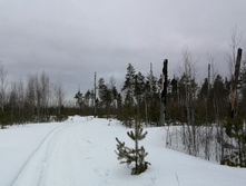 IMG 20210320 114652.jpg