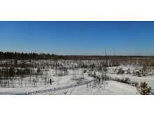 IMG 20210328 085236.jpg