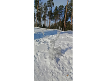 IMG 20210306 105014.jpg