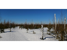 IMG 20210328 093626.jpg