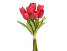 5c51a9c1126d6.jpg