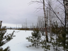 IMG 20210320 120937.jpg