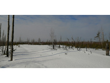 IMG 20210321 101208.jpg