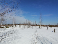 IMG 20210321 102100.jpg