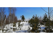 IMG 20210321 104234.jpg