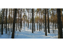 IMG 20210327 080856.jpg