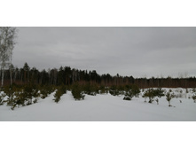 IMG 20210320 130904.jpg