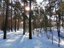 IMG 20210327 084357.jpg