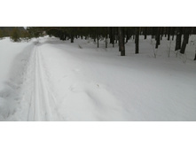 IMG 20210314 102550.jpg